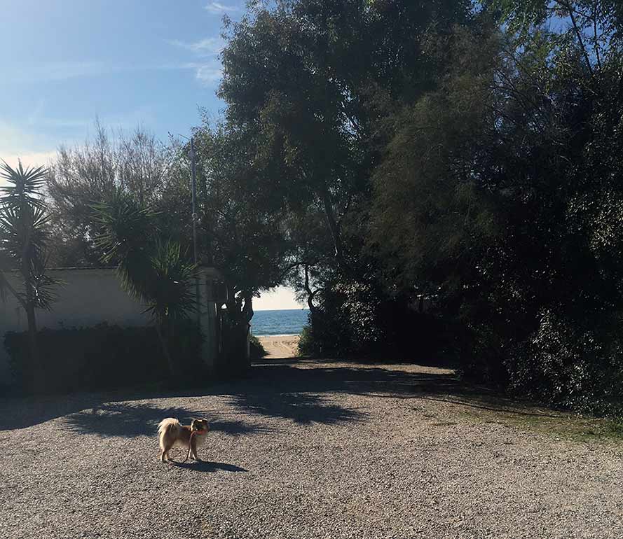 Hund im Wohnmobil_Italien
