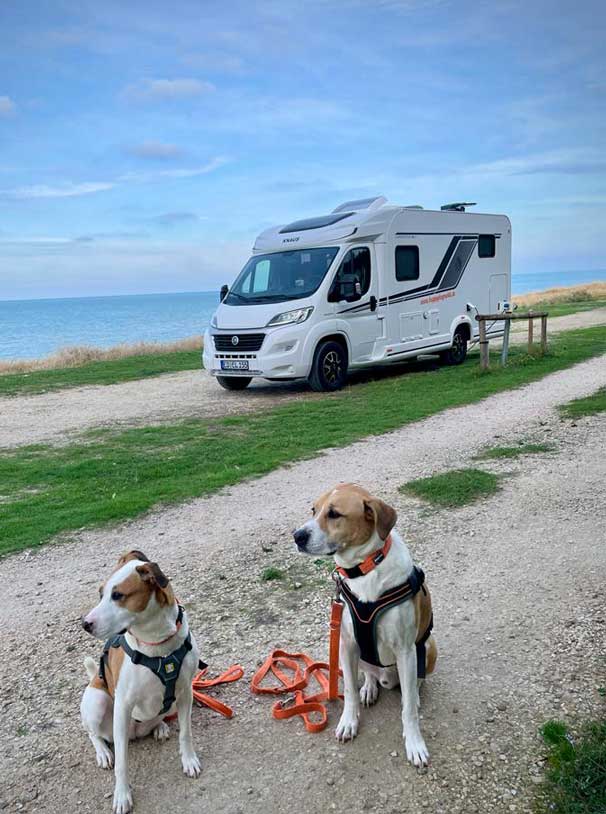 Wohnmobil mit hunden im Vordergrund