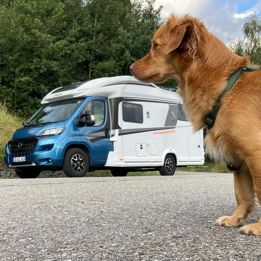 Rudi vor Wohnmobil