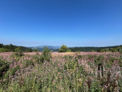 Schwarzwald